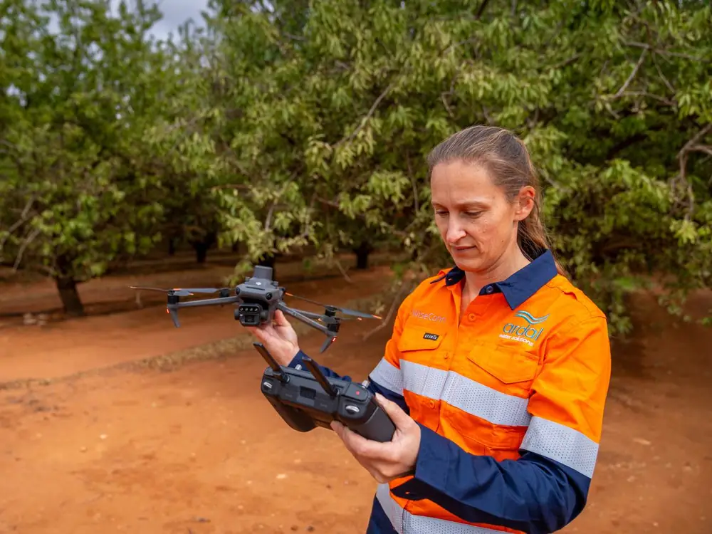 Ardal surveyor holding an RTK drone and controller in an almond orchard