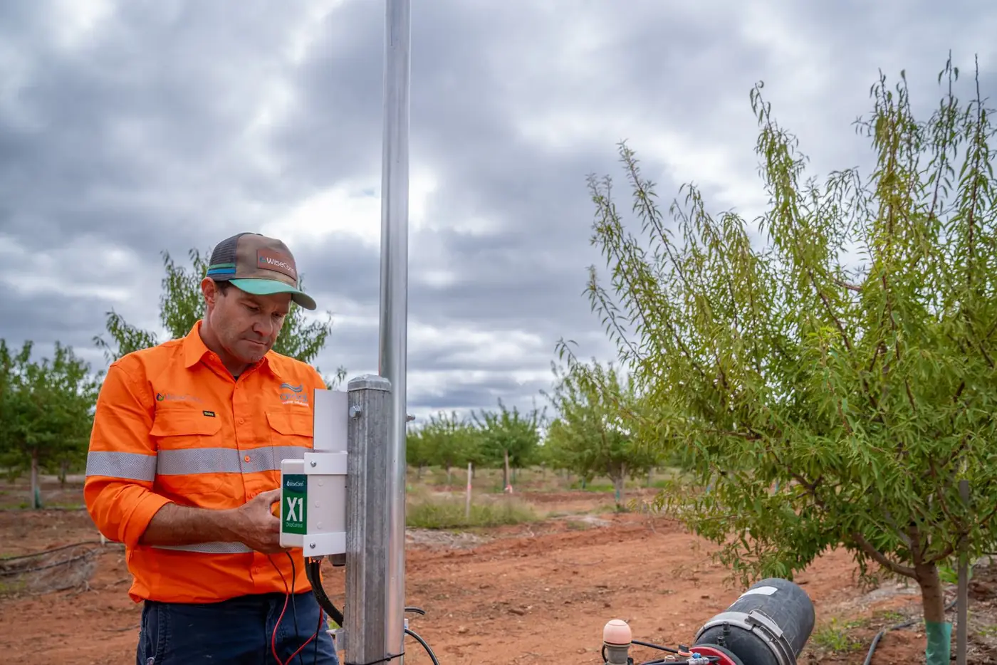 Ardal technician checking a WiseConn X1 controller in an almond orchard
