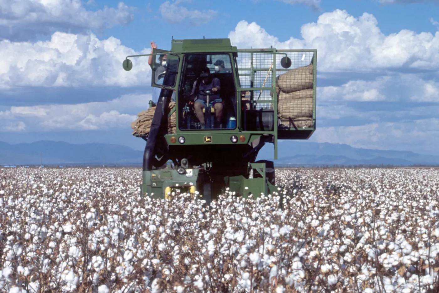 Cotton harvester picking a field at Narrabri, New South Wales