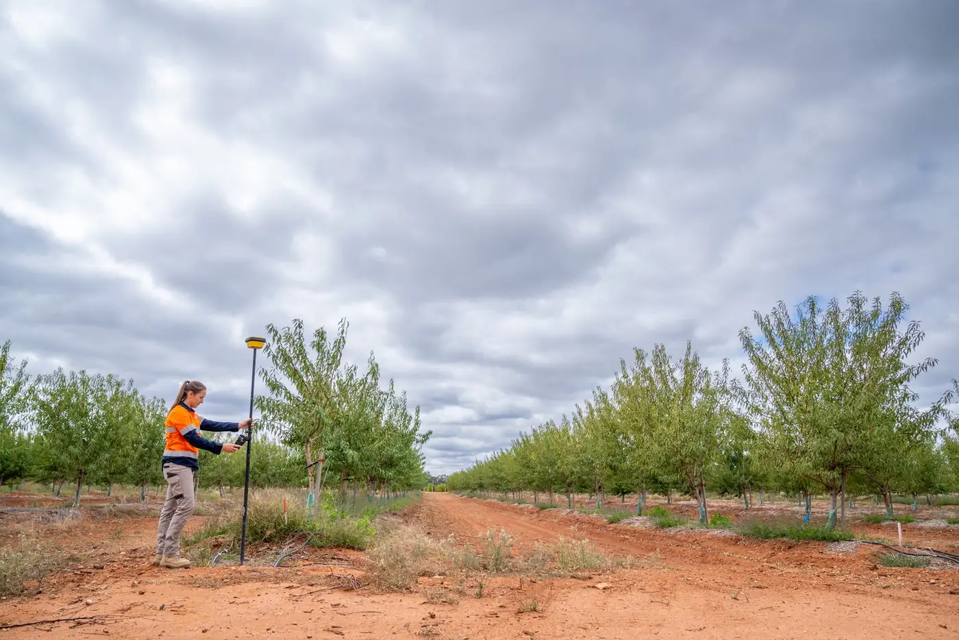 Ardal surveyor holding an RTK GPS pole in a row of young trees