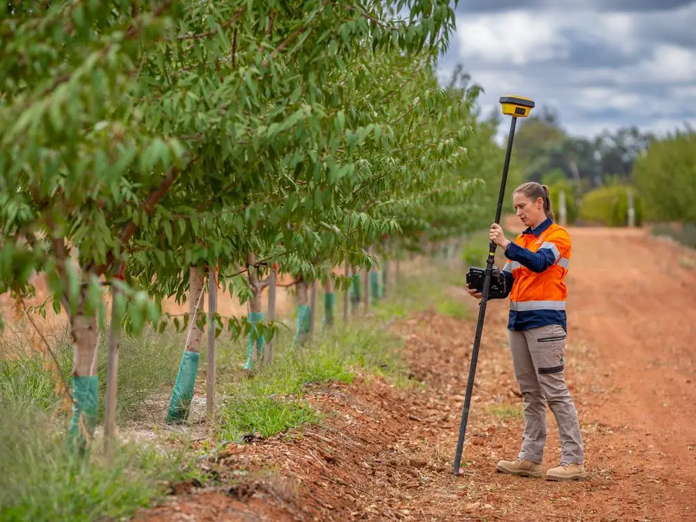 Ardal surveyor with an RTK GPS pole between rows of young trees