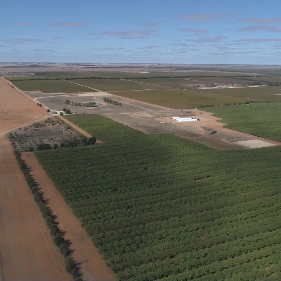 Aerial view of an orchard development, from Ardal's drone survey video