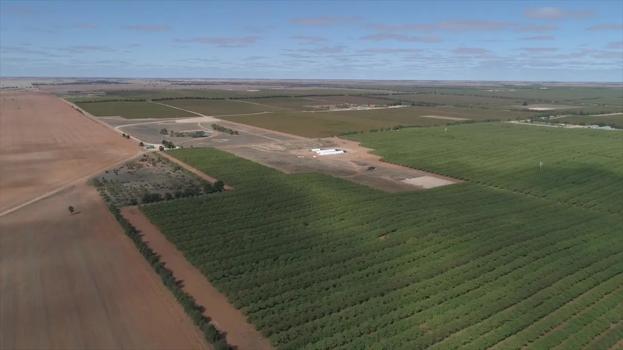 Aerial view of a large orchard development, from Ardal's full video